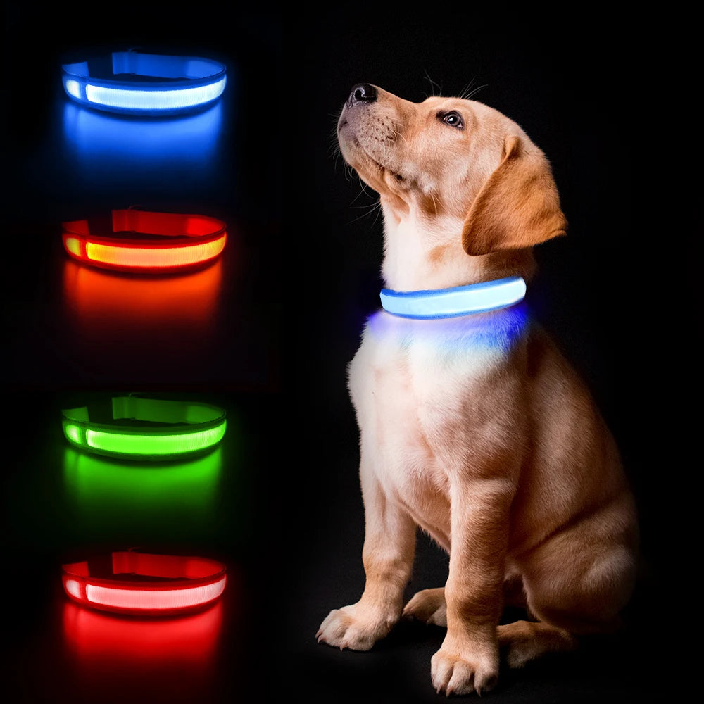 MASBRILL Dog Collar Luminous Pet Supplies Dog Collar Waterproof Safety Collars   No Logo