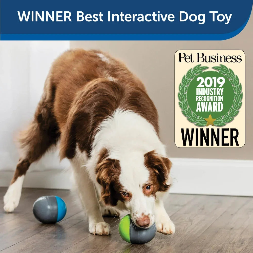 Pets Products for Dog Toys New Toy Battery-Operated 2 Smart Paired Toys