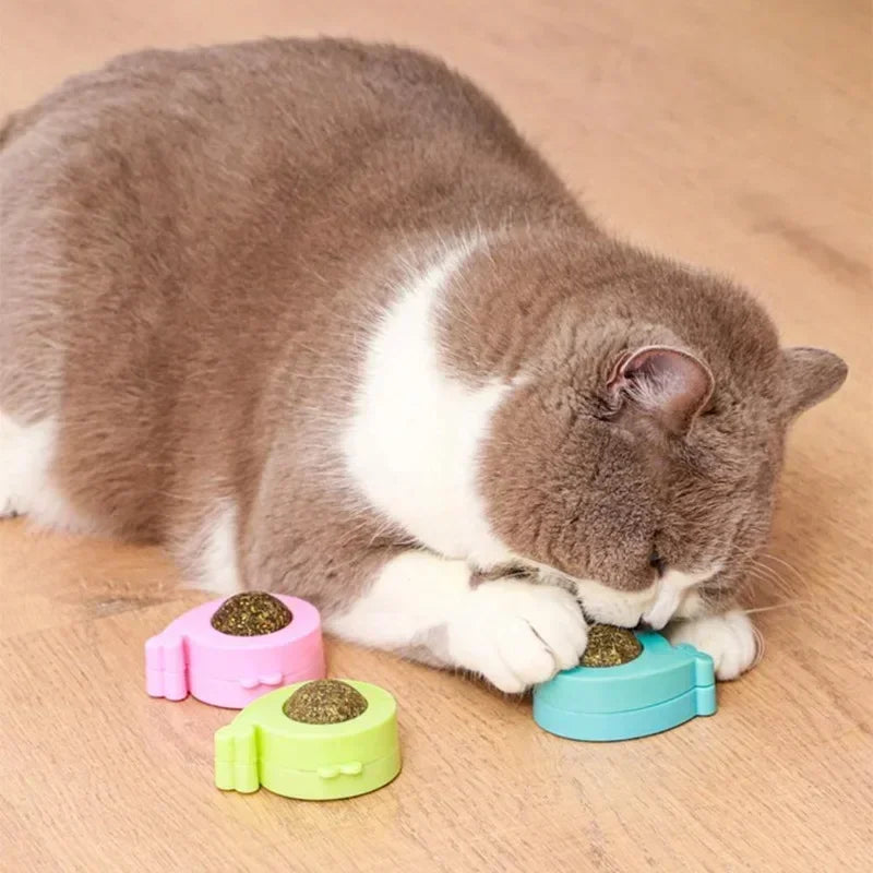 Catnip Wall Ball Licking Ball Spherical Teeth Cleaning Cat Catnip Toy Rotatable Kitten Licking Ball
Wall Treats