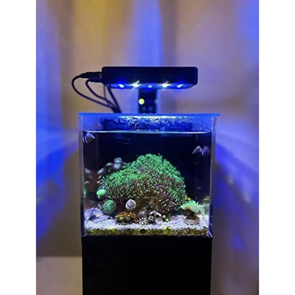 Desktop Saltwater Fish Tank with LED Light Pump Indoor Aquatic Pets