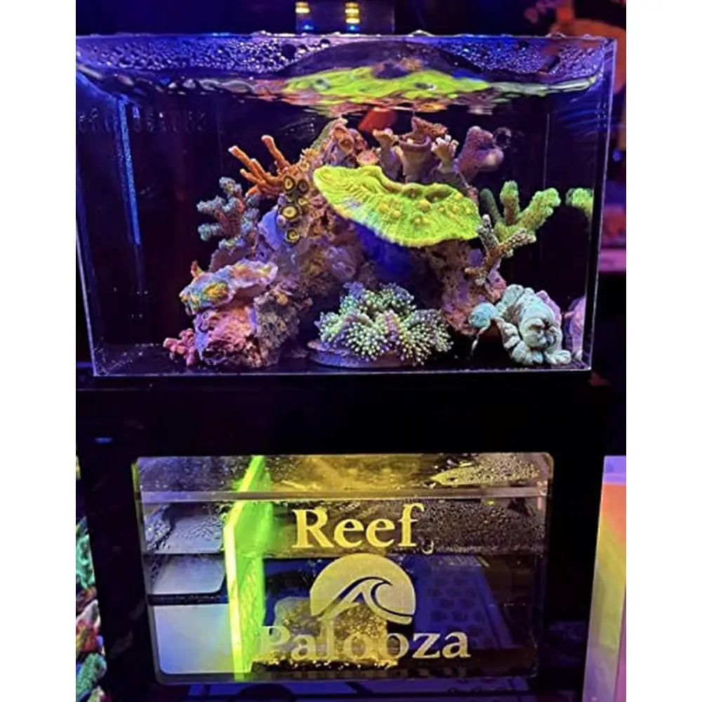 Desktop Saltwater Fish Tank with LED Light Pump Indoor Aquatic Pets