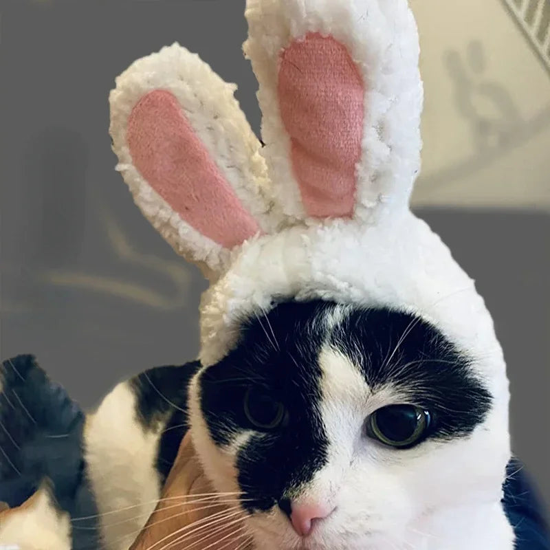 Funny Cat Headgear Cute Rabbit Ears Cap for Cats Warm Plush Pet Hat Christmas Cosplay