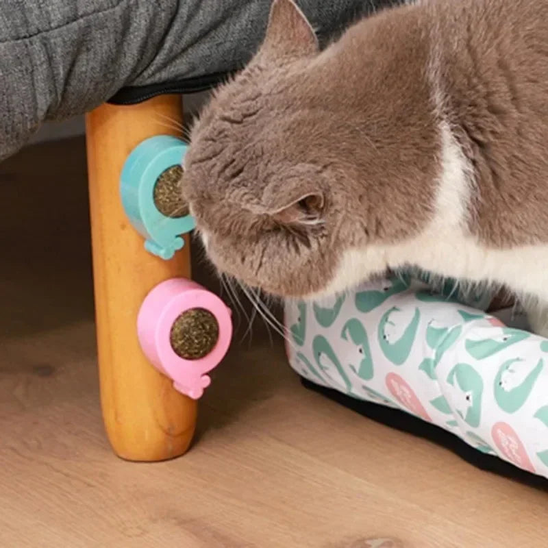 Catnip Wall Ball Licking Ball Spherical Teeth Cleaning Cat Catnip Toy Rotatable Kitten Licking Ball
Wall Treats