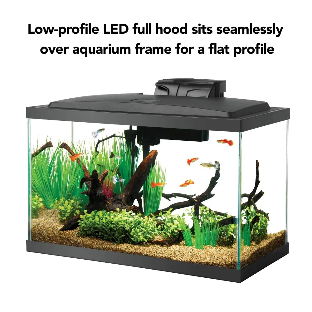 Aquarium Starter Kit 10 Gallon Glass Fish Tank LED Lighting Filter and Heater