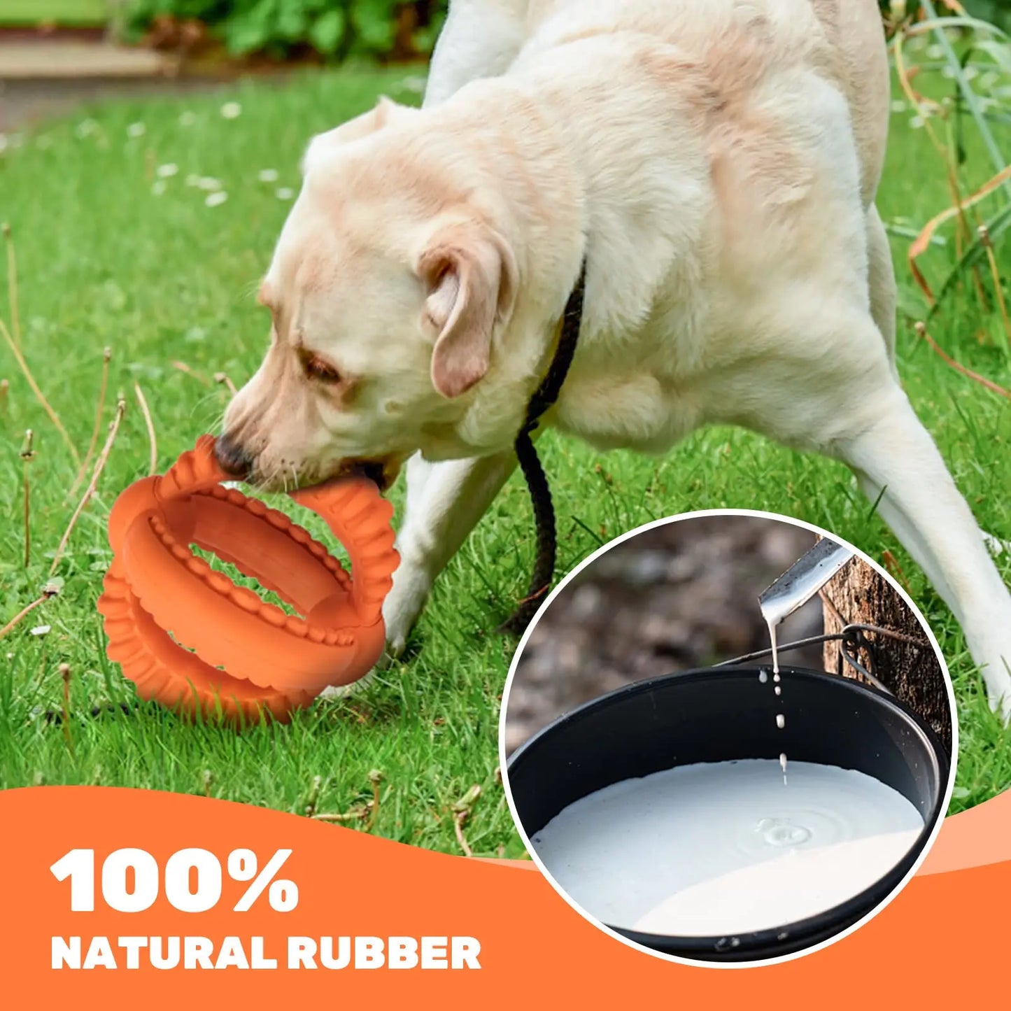 Interactive Dog Toys Detachable Dog Tug of War Toy with 2 Rings Natural Rubber Dog Chew Toys Suitable for Large Dogs for Teeth C