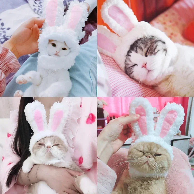 Funny Cat Headgear Cute Rabbit Ears Cap for Cats Warm Plush Pet Hat Christmas Cosplay