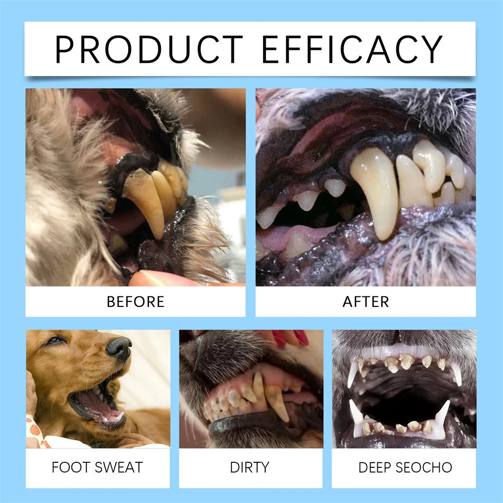 Pets Dogs Teeth Cleaning Tools Pet Dogs Cat Beauty Toothbrush Clean Kit Tartar Remover Teeth Dogs Cats