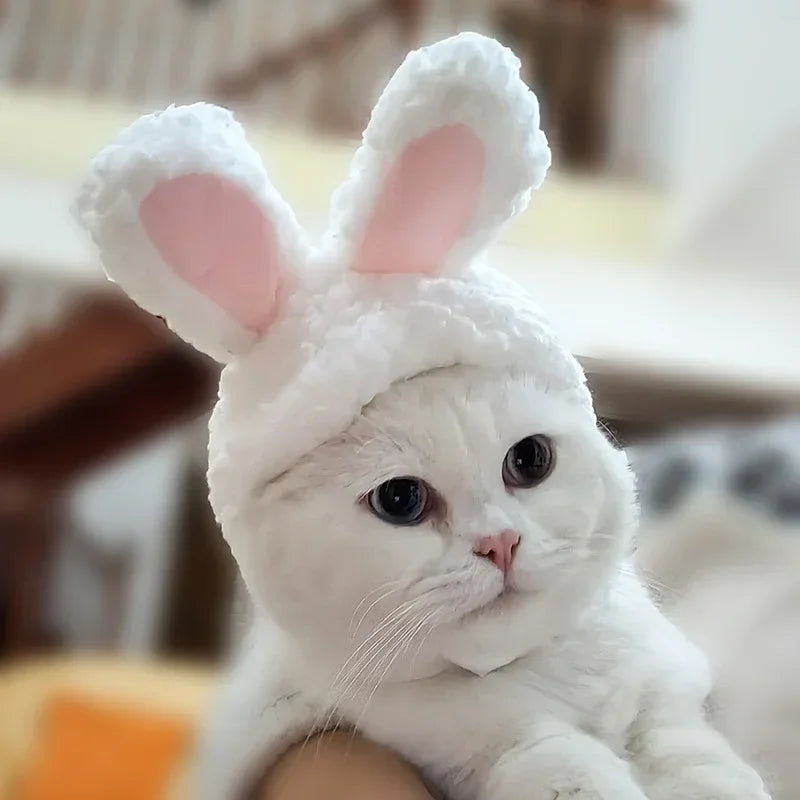 Funny Cat Headgear Cute Rabbit Ears Cap for Cats Warm Plush Pet Hat Christmas Cosplay
