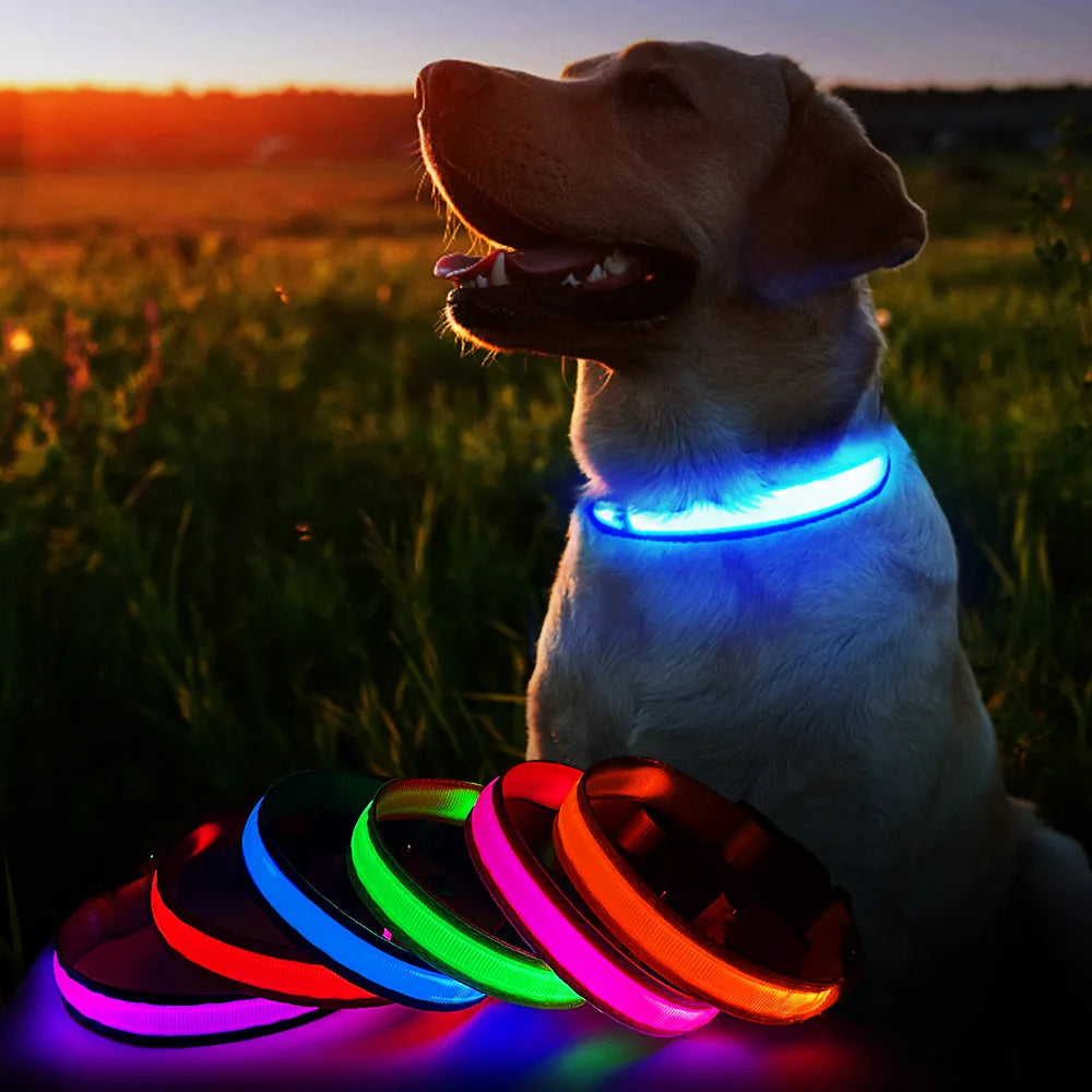 MASBRILL Dog Collar Luminous Pet Supplies Dog Collar Waterproof Safety Collars   No Logo