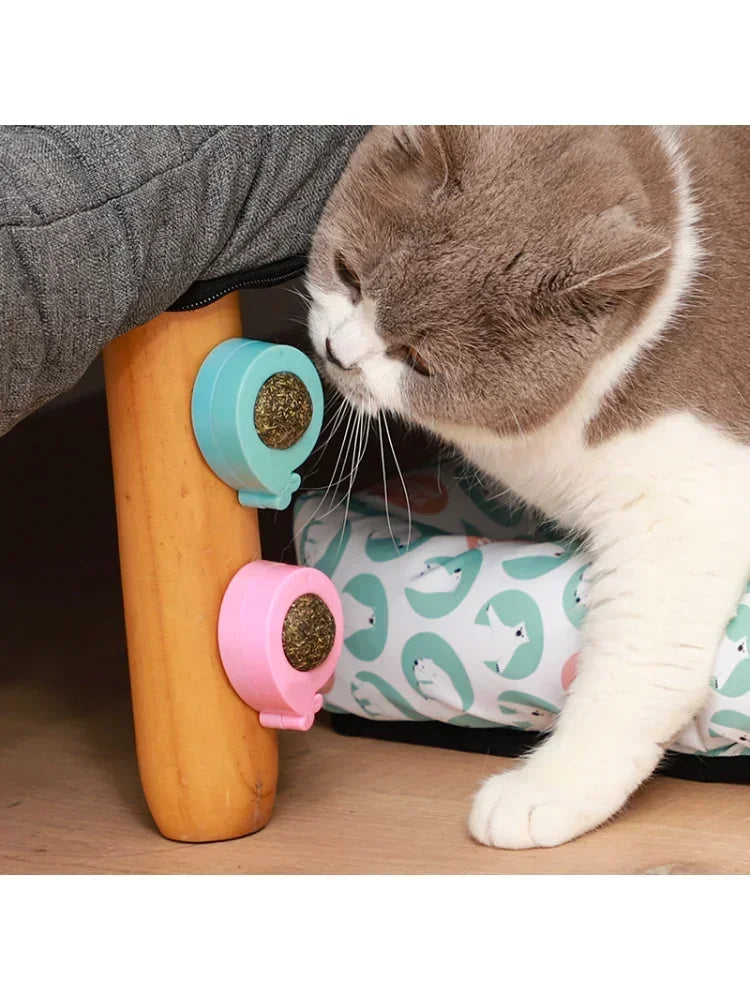 Catnip Wall Ball Licking Ball Spherical Teeth Cleaning Cat Catnip Toy Rotatable Kitten Licking Ball
Wall Treats