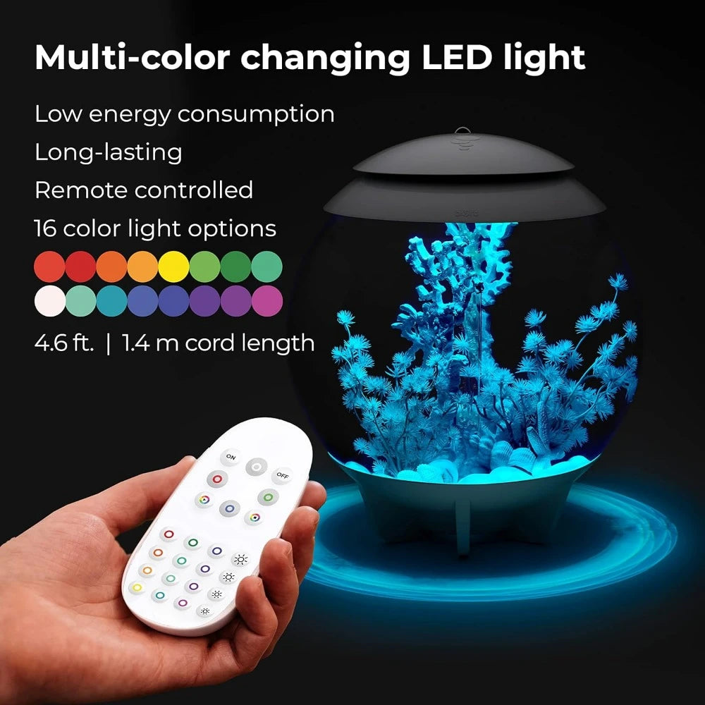 Mini Aquarium Modern Compact Water Tank for Desktop or Desktop Display Fish Tank Grey