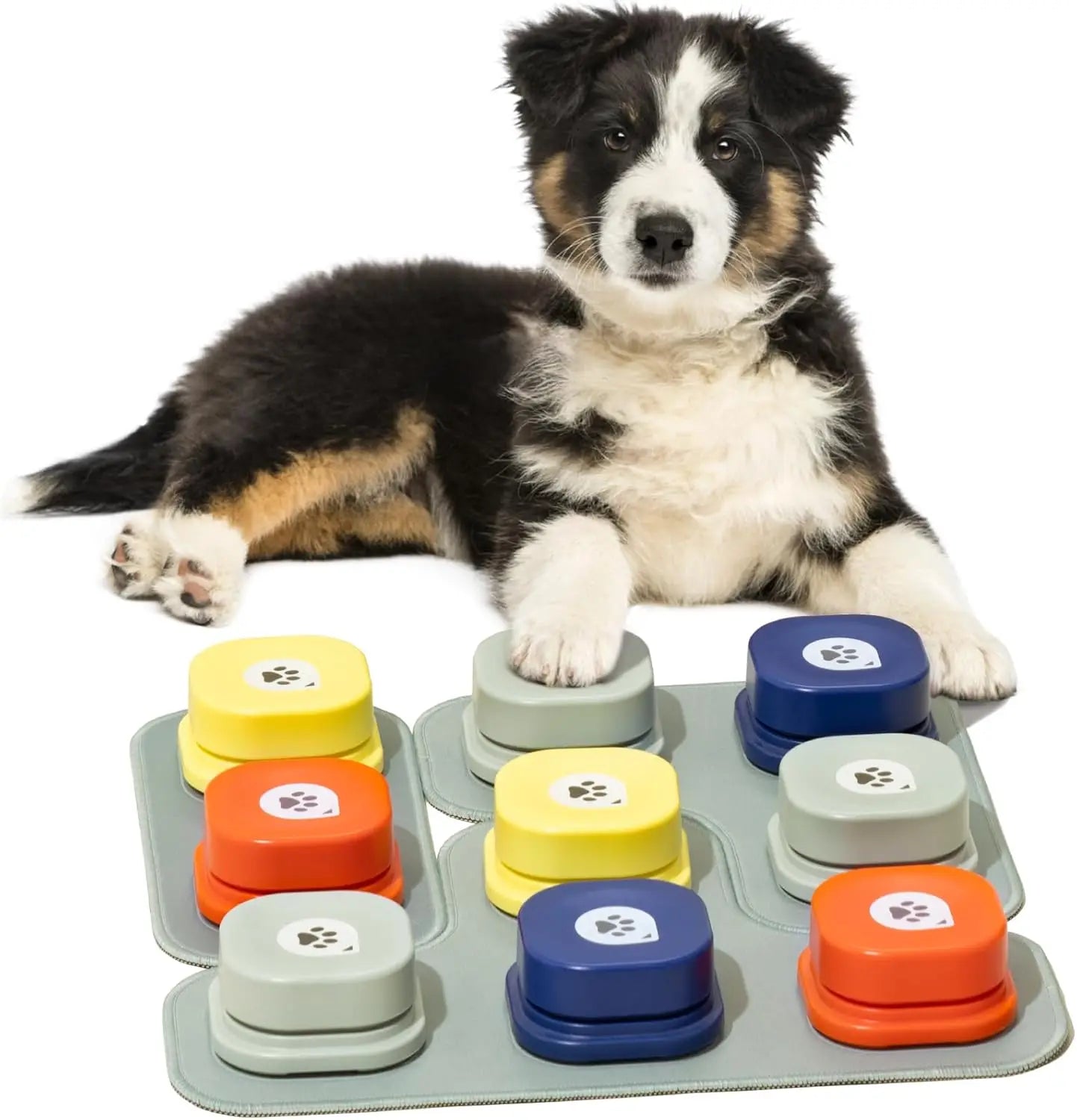 MEWOOFUN Dog Button Record Talking Vocal Training Interactive Toy Bell Ringer With Pad and Sticker