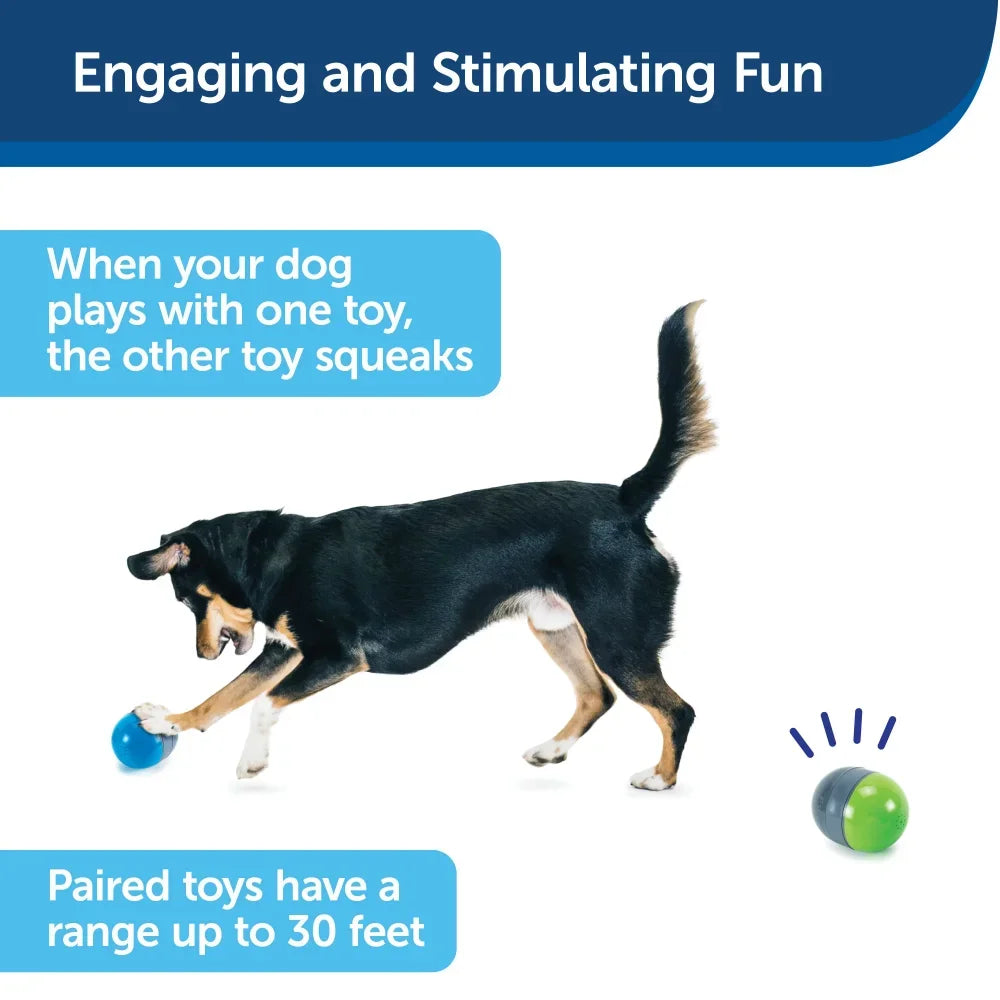 Pets Products for Dog Toys New Toy Battery-Operated 2 Smart Paired Toys