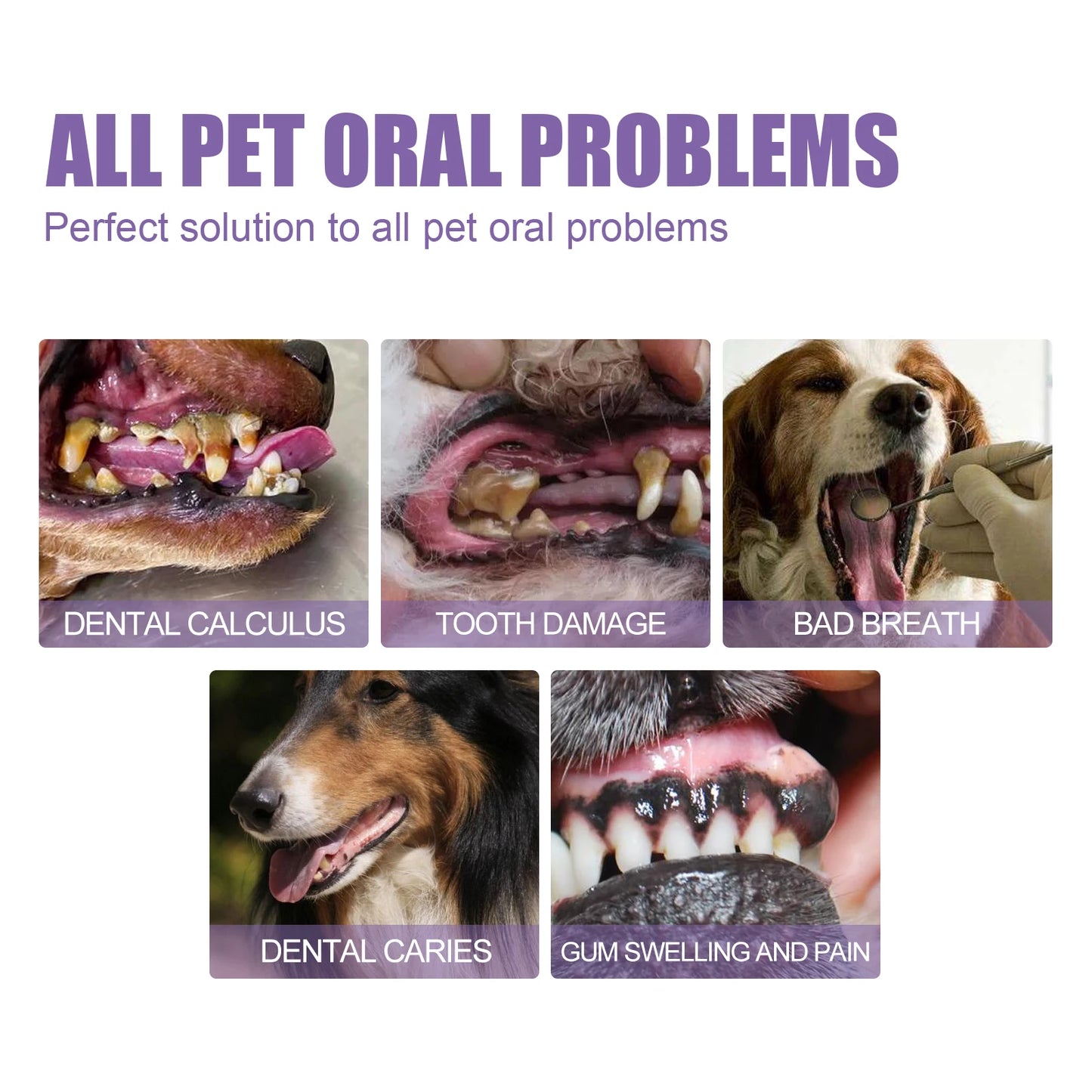 Dogs Cats Pet Oral Repair Gel Tooth Repair Teeth Brushing Cleaner Dogs Cats Pet Gel Repair Kitten puppy