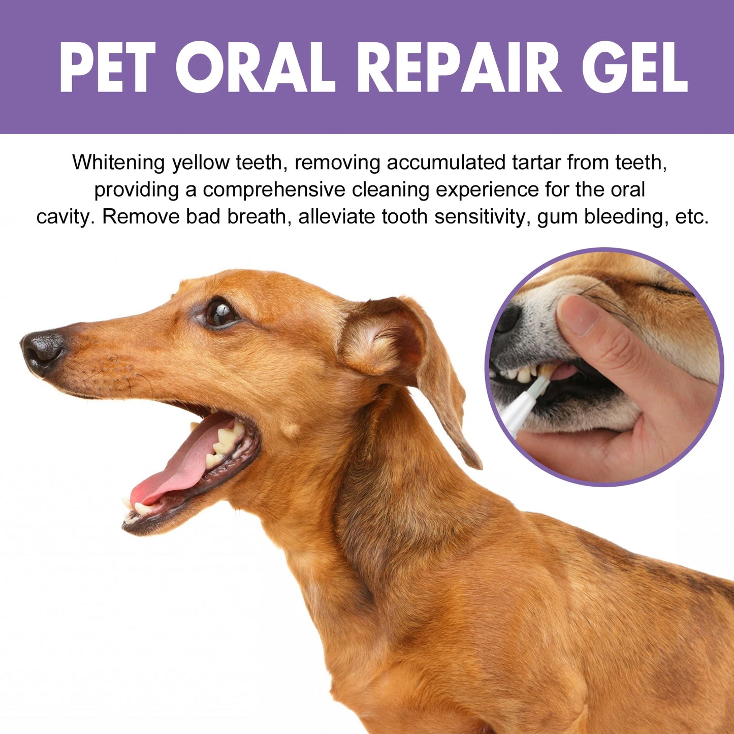 Dogs Cats Pet Oral Repair Gel Tooth Repair Teeth Brushing Cleaner Dogs Cats Pet Gel Repair Kitten puppy