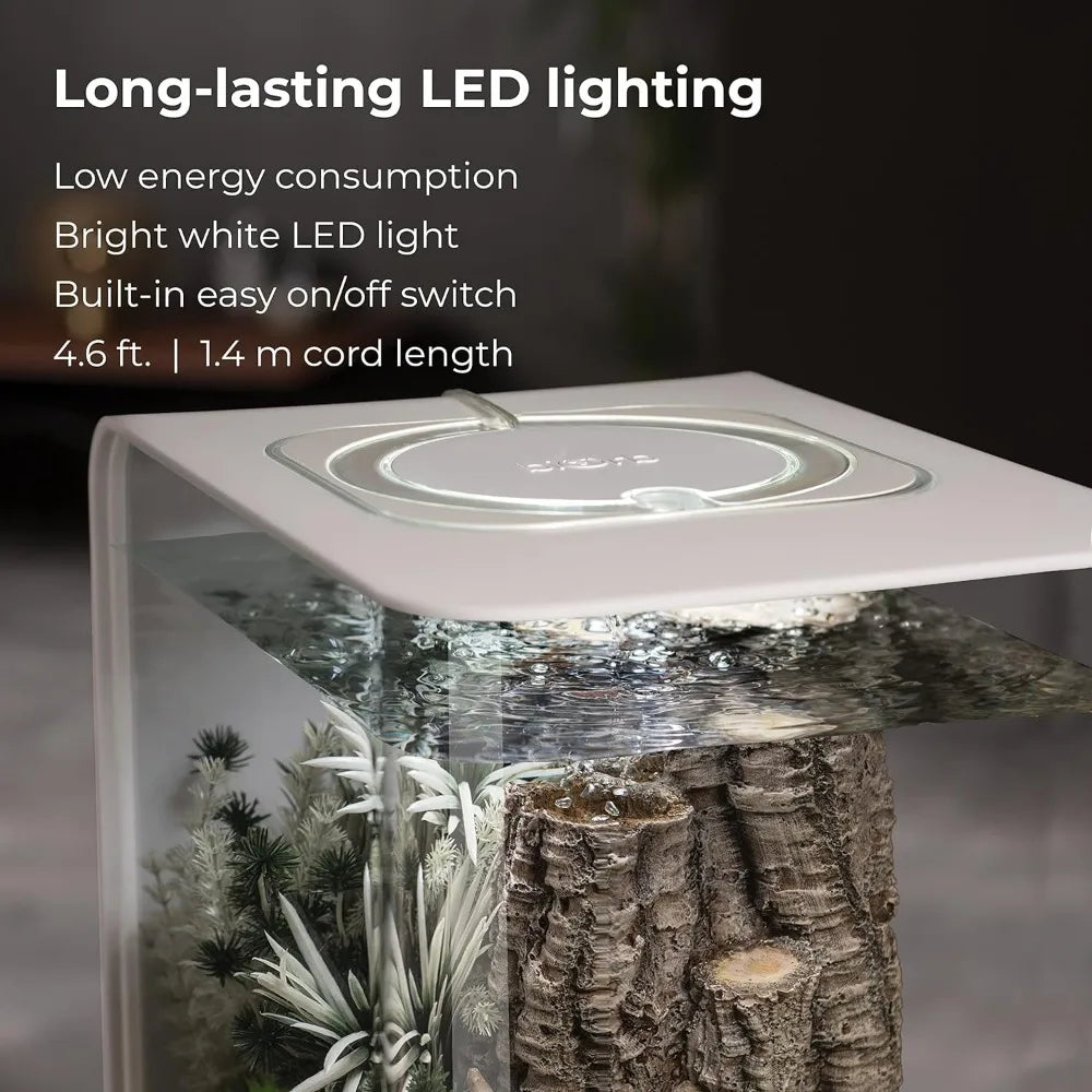 Acrylic Aquarium With White LED Light Modern Tank for Tabletop Display Fish Fishbowl Mini Aquatic Pet Supplies Products Home