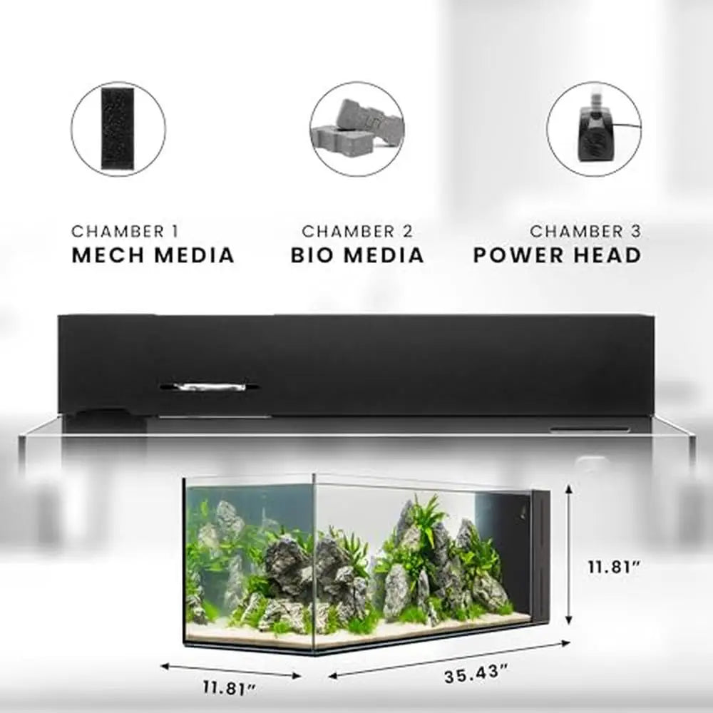 Complete Rimless Aquarium Tank with Triple-Chamber Filtration System Freshwater & Saltwater Ecosystem 21 Gallon Capacity