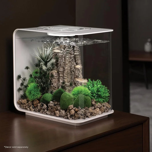 Acrylic Aquarium With White LED Light Modern Tank for Tabletop Display Fish Fishbowl Mini Aquatic Pet Supplies Products Home